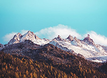 有人私信我99tk香港下载链接，我追到源头发现很多截图是P的：别让情绪替你做决定