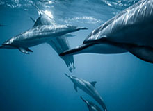 里尔上半场像换了队，却赛前热身就不对劲：49图库官网那条线给了答案